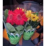 GERBERA MIX - Image 2