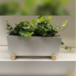 HEDERA 2 NOS - POTTED RECTANGULAR METAL PLANTER WITH WOODEN STAND