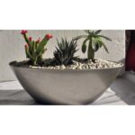 SUCCULENTS IN OVAL POT - 25 CM LENGTH