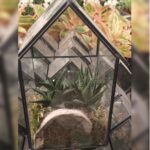 TERRARIUM
