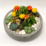 CACTUS & SUCCULENT ARRANGEMENTS -32 CM