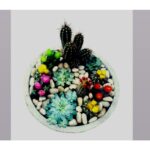 CACTUS & SUCCULENT ARRANGEMENTS -32 CM