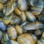 TIGER SKIN STONE 3 - 5 CM