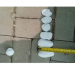 WHITE PEBBLES 3 TO 5 CM - 20KG/BAG