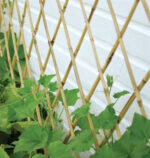 TRELLY BAMBOO - 1 MTR HEIGHT, 2.25 MTR LENGTH - Image 2