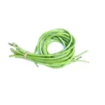 LONG BEANS- SMALL PLANT - Image 2