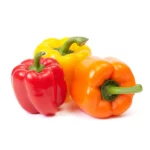CAPSICUM SMALL PLANT - Image 2