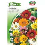 GAZANIA